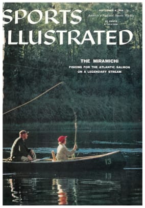 41497 - Cover Image